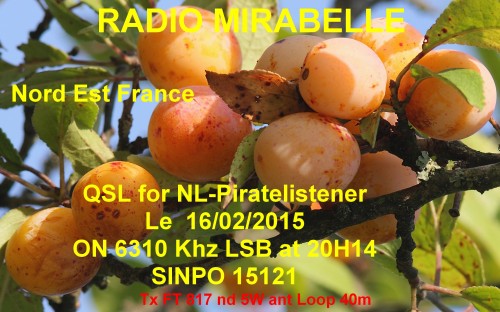 qsl pirate listener